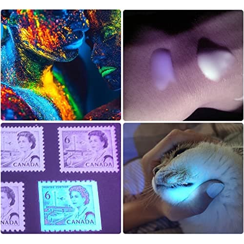 DARKBEAM Lampe Torche UV 365nm Lamp Lumière Noire rechargeable Wood's lampe, Blacklight Ultraviolette Portable Mini Torche LED, Détecteur d'urine de chat, Billets de banque