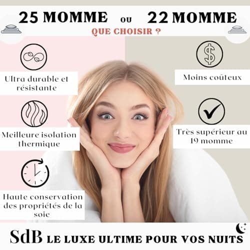 Taie d'oreiller 100% Soie Naturelle de mûrier 22 Momme Qualité supérieure Grade 6A sans Produit Chimique,Bio- Peau Sensible,Cheveux Afro,Bouclés,Gras,Antichute Cadeau (Rose, 40x60cm)