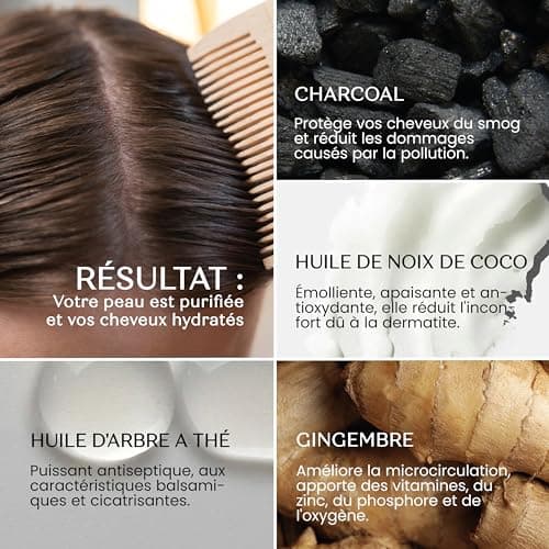 Senso Naturale Shampoing Solide Détox Purifiant Antipelliculaire et Dermatite Séborrhéique, pour Cheveux Gras avec Charbon Végétal Tea Tree Gingembre Huile de Coco, ne Sèche les Longueurs, PH 4.5-5.0