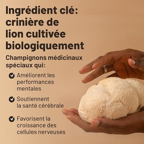 Complexe de capsules de supplément de champignons Lions Mane - Supplément sans caféine, extrait de crinière de lion - 120 capsules végétaliennes de Bacopa Monnieri, Gotu Kola, Ginseng