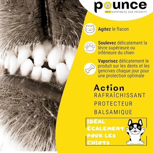 Dentifrice Chien Et Chat Spray 100ml 95% Naturel - Hygiène Buccale Supérieure Sans Rinçage, Effet Anti-Tartre Et Haleine Fraîche, Avec Propolis + Ananas + Menthe, Qualité Italienne