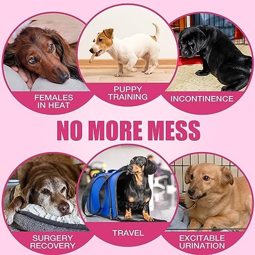 Dono Couches jetables pour Chiens Femelles, Couches Super absorbantes pour Chiens, Couches pour Chiots avec Technologie Gel Flash Dry, Couches pour Chats étanches pour Chiens en Chaleur, Incontinence