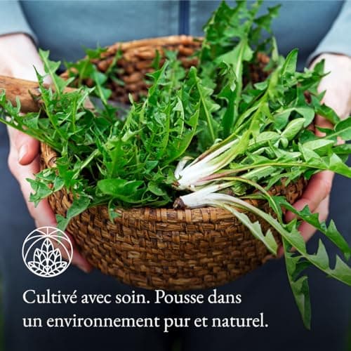 Tisane de feuilles de pissenlit Monte Nativo (300 g) - 100% pure et naturelle, sans additifs - Tisane de feuilles de pissenlit en cadeau - Tisane aromatique - Thé aux fruits - Thé Chaud ou Thé glacé