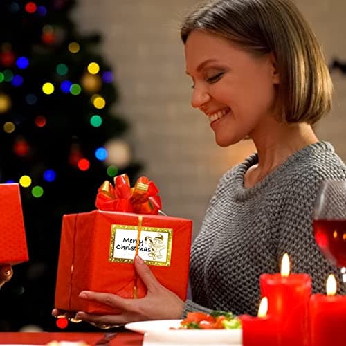 250Pcs Autocollants Etiquette Noël Auto-adhésif Cadeau Stickers Ecrit 6 Motifs Bonhomme de Neige Père Noël Renne Sapin pour Festival Noël Anniversaire Mariage Décoratifs