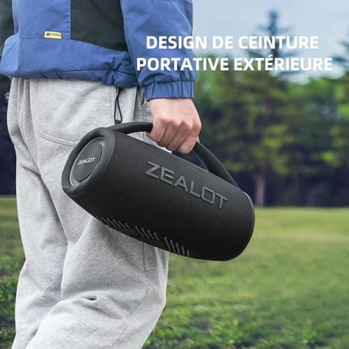 ZEALOT Enceinte Bluetooth, 80W Haut - Parleur Bluetooth avec Boost Bass, étanche ipx6, lumière LED, Banque d'alimentation, Bluetooth 5.2, extérieur, Camping Haut - Parleur Bluetooth