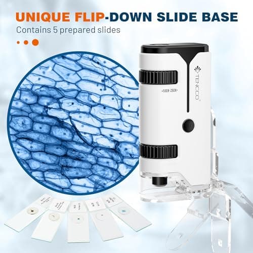 Mini Microscope de Poche 100x-250x pour Enfants Adultes, Microscope portable avec 5 Lames de Microscope, Adaptateur de Téléphone, Miniscope Portable pour Enfants Adultes, Scientifique Education, Blanc