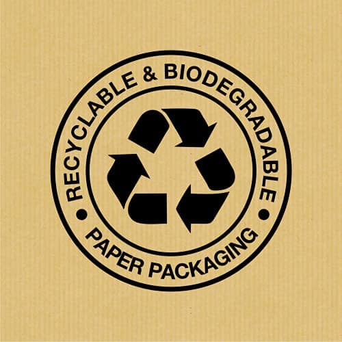 Renova Essuie-tout Recyclé|2 rouleaux XXL = 5 rouleaux standard| Écologique| 2 plis