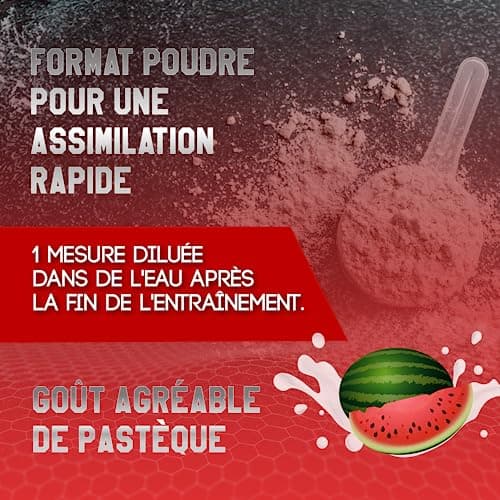 Healthy Fusion Creatine Monohydrate | Créatine pure microfiltrée avec vitamine B6 | Favorise la croissance musculaire | Créatine monohydrate en poudre aromatisée à la pastèque | 30 portions