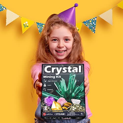 Byncceh Kit d'excavation en Cristal Scientifique de Géologie,Kit de Creuser, Kit de Fouille Fossiles Gemmes, Jouet Cadeau de Minéraux pour Enfants Garçons et Filles