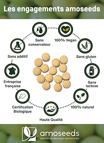 Amla BIO 180 comprimés de 500mg | Peau, Cheveux, Digestion | Amalaki, Groseille Indienne | Qualité Supérieure