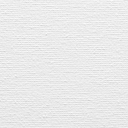 Artina - Châssis entoilé - Toile à Peindre - Akademie - Qualité Fine - Apprêtée 2 Fois - Lot de 5-30x80cm - 280g/m2