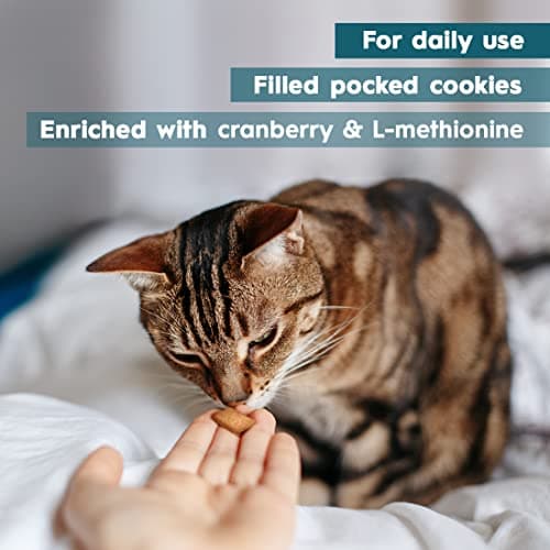 AmeizPet Friandises pour Chat Voies Urinaires - Biscuits Croustillants pour Chat Complément Alimentaire 65 g (2.3 oz)