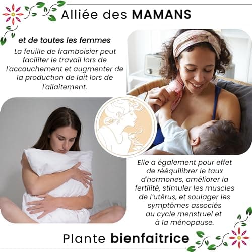 Ascenbio ✿ Feuilles de Framboisier BIO FRANCE 100g ✿ Pour Tisane Fin de Grossesse, Allaitement, Règles douloureuses ✿ Préparé et conditionné en France ✿ Emballage biodégradable