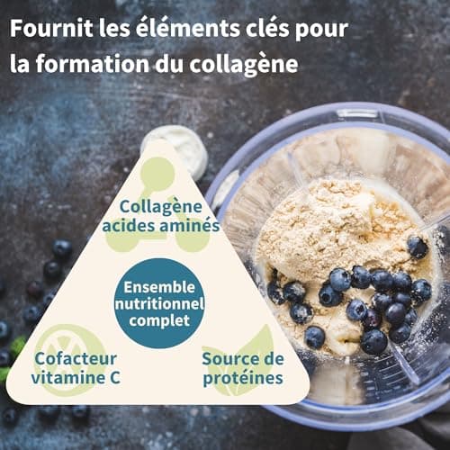 Collagène Vegan en Poudre Avancé avec Vitamine C, 11 g de Protéines, 21 Acides Aminés (y compris Glycine), Peptides de Collagène 100% Végétale, Non Aromatisé, 35 portions – par Igennus