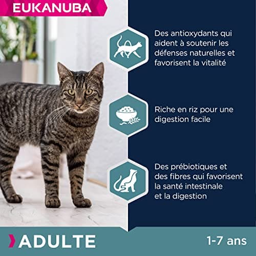 EUKANUBA - Croquettes Premium pour Chat Adulte - Alimentation 100% Complète et Equilibrée - Riche en Riz – Au Poulet Frais – Sans OGM, Sans Blé - Sac refermable – 10kg