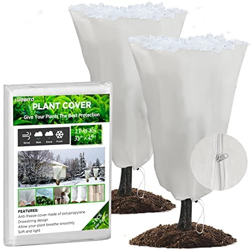 Voile Hivernage Plante Exterieur, Lot de 2 Housse d'hivernage pour Plantes en Pot, 80 x 120cm Contre Le Froid et Le Gel, 60g/m2 bâche Protection Arbustes Couverture