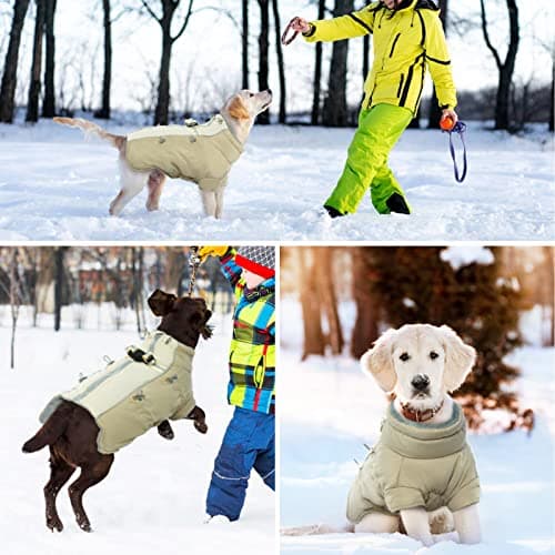 Manteau Chien Imperméable, Manteau pour Chien, Manteau Chien avec Fermeture à Glissière, Manteau Chien Hiver, Manteaux d'hiver pour Chiens, Pull pour ChienPour Chiens de Petite, Moyenne et Grande L