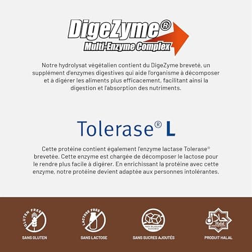 Beverly ZERO DÉLICATESSE | 1 kg | 85% de protéines de lactosérum hydrolysées | Avec Digezyme et Tolerase | Masse et force musculaire | Mixeur offert (CHOCOLAT NOISETTE)
