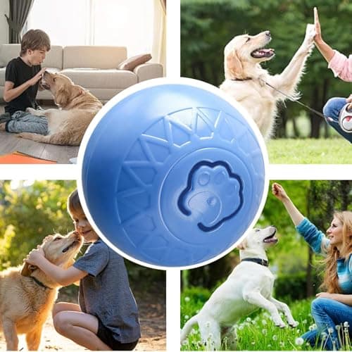 Balle pour chien – Jouet interactif coloré pour chien, jouet interactif pour chien, balle pour chien, balles de tennis pour chiens, extérieur, maison, grand chien
