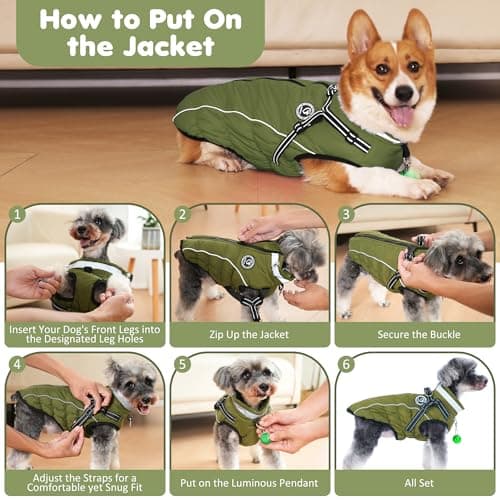 HezzLuv Manteaux d'hiver pour Chiens, Manteau Chien Imperméable, Manteau Chien avec Harnais, Bandes Réfléchissantes, Collier à LED, Vestes d'hiver pour Petits et Moyens Chiens (Vert, Taille XL)