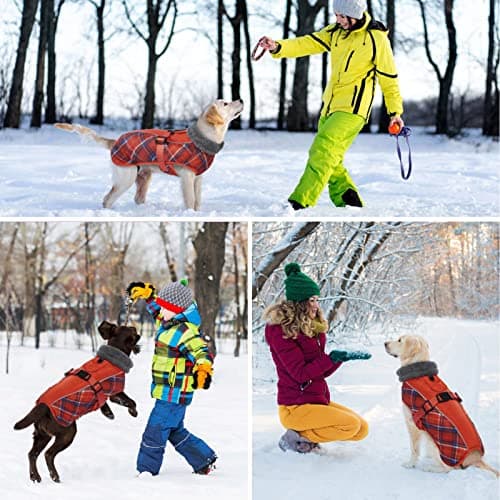 Manteau d'hiver pour Chien, Veste ImperméAble pour Chien, Veste d'hiver Chaude avec Doublure en Polaire, Manteau RéFlecteur Ajustable Et Confortable avec Trou pour Harnais pour Petits Et Moyens Chien