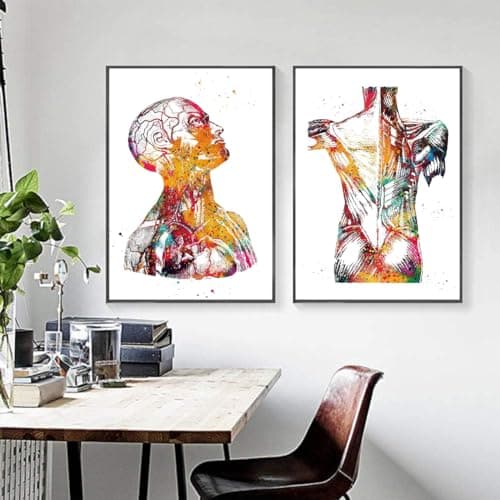 Lot de 3 posters d'anatomie - Motif cœur et cerveau - Poster d'anatomie humaine - Pour hôpital - Art mural - Sans cadre - B, 50 x 70 cm x 3