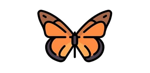 Butterfly Collection BN