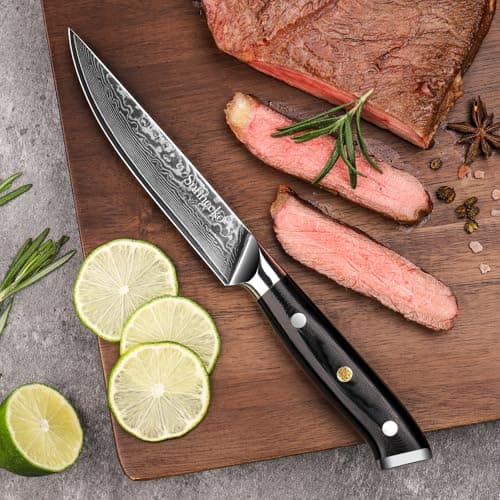 Sunnecko Couteaux à Steak Damas 6 Pièces, Coffret de Couteaux de Table en Acier Damassé 73 Couches, Set Couteau Cuisine Japonais Lame 13cm, Couteau Viande Manche G10