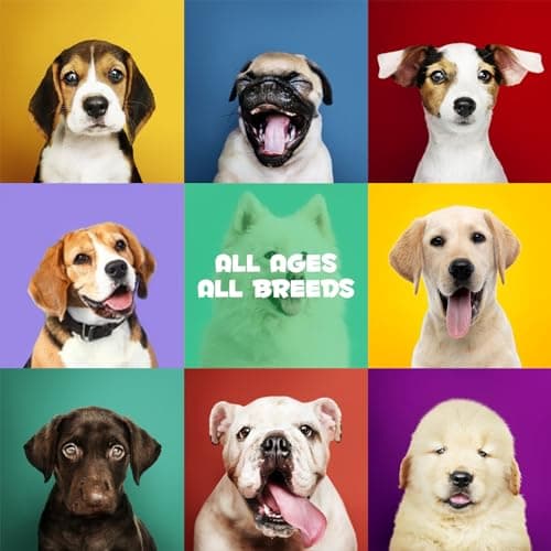 Probiotiques pour Chiens,Probiotique Doux à mâcher pour Chiens Enzymes digestives,Santé intestinale,Équilibre des levures, Système immunitaire et Soutien de la santé Globale (30 Soft Chews)