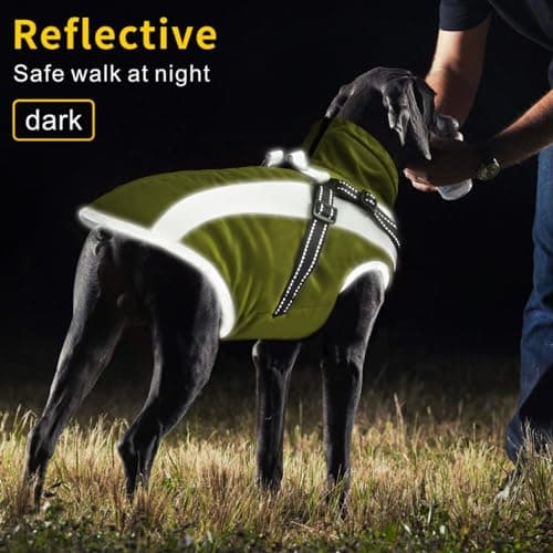 Oslueidy Manteau Imperméable pour Chien,Veste Chaude d'hiver Vêtements pour Animaux de Compagnie Coupe Manteau Chiens pour Le Petit Moyen Grande Chien (2XL, Vert)