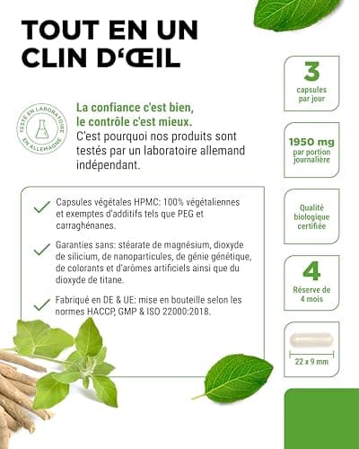 Original Organic Ashwagandha - 365 Capsules - Fortement dosé avec 1950mg par portion quotidienne - Véritable baie du sommeil indienne - Vegan