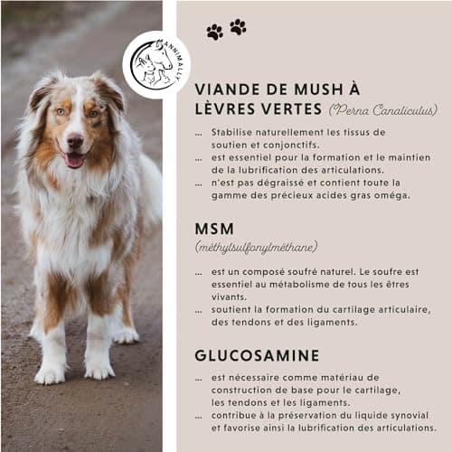 Complément Articulation pour Chien - Anti arthrose Chien Senior - avec glucosamine chondroïtine Chien - 120 comprimés pour Articulation Chien et - Anti inflammatoire Chien