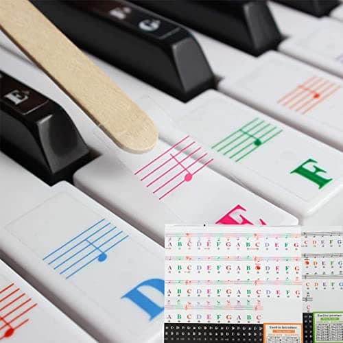 Piano et clavier Notes de musique Ensemble de stickers pour les touches de couleur et Noir, Transparent et amovible, idéal pour enfants et débutants Stickers pour 37/49/54/61/88 touches (Couleur,noir)