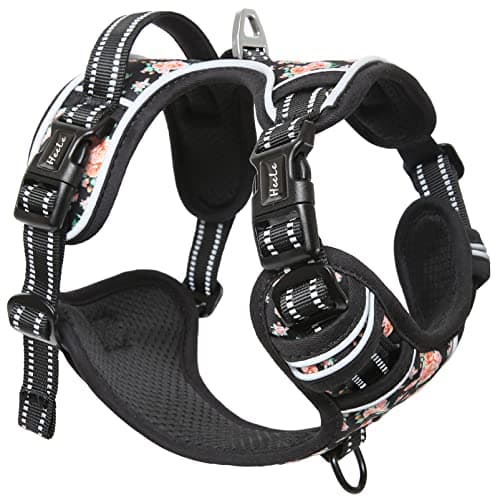 HEELE Harnais Chien, Harnais Chien Anti Traction, Réfléchissant, avec Poignée Rembourrée Contrôl, 2 Anneaux Métal, Harnais pour Petit Moyen et Grand Chien, Fleur-Noir, L