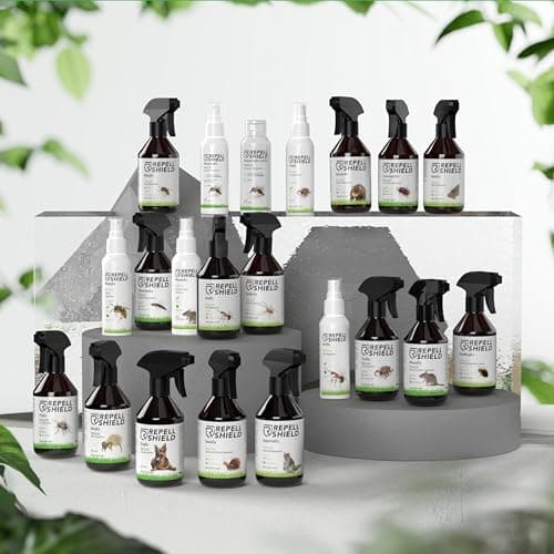 RepellShield® Répulsif Anti Souris & Anti Rat – 250ml – Menthe Poivrée Ultra Concentrée – Non Tachant – Usage Intérieur & Extérieur – Éloigne Les Rongeurs – Anti Souris et Rats Puissant
