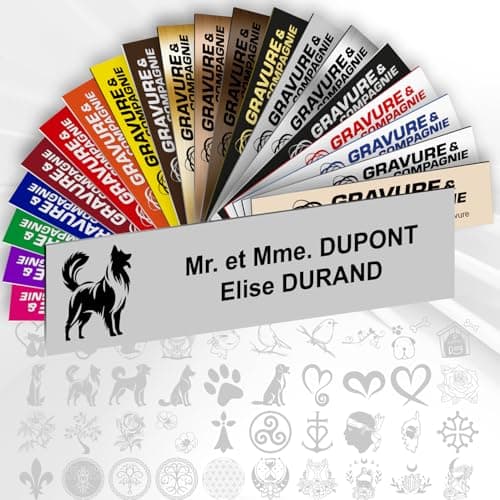 Plaque de Boîte Aux Lettres Déco Personnalisée Adhésive PVC – 10 x 2,5 cm – Avec Motif ou Logo – 20 Couleurs Disponibles (Gris Mat + Dessin)
