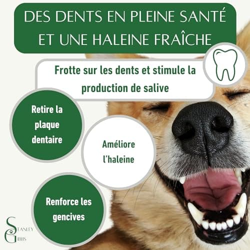 Bois de cerf pour Chien a Macher Entier (1 pièce). Friandise pour Chiots et Chiens de Tout âges. Jouet Occupation. Jouet de Mastication. Soins Dentaire idéal (M)
