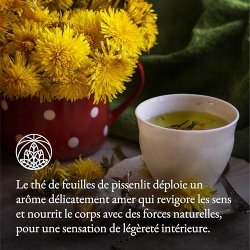 Tisane de feuilles de pissenlit Monte Nativo (300 g) - 100% pure et naturelle, sans additifs - Tisane de feuilles de pissenlit en cadeau - Tisane aromatique - Thé aux fruits - Thé Chaud ou Thé glacé