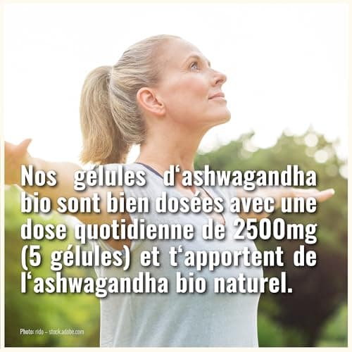 Gélules d'Ashwagandha BIO à forte dose - 290 gélules d'Ashwagandha BIO - Ashwagandha à forte dose Ashwaganda - Culture biologique contrôlée