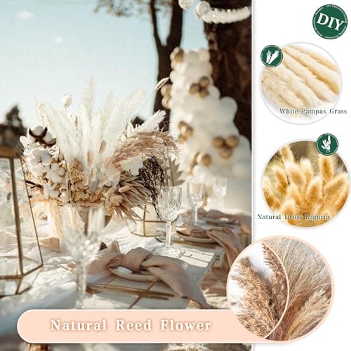 ZJTAPE Pampa Séchées - Eucalyptus Séchés Naturel, Decoration de Bouquet de Fleurs Séchées Travaux Manuels pour Table de Mariage, Vases de Salon, Mariage, Décoration d'intérieur Boho
