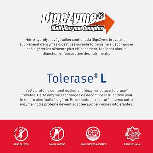 Beverly ZERO DÉLICATESSE | 1 kg | 85% de protéines de lactosérum hydrolysées | Avec Digezyme et Tolerase | Masse et force musculaire | Mixeur gratuit (GÂTEAU AU FROMAGE AUX FRAISE)