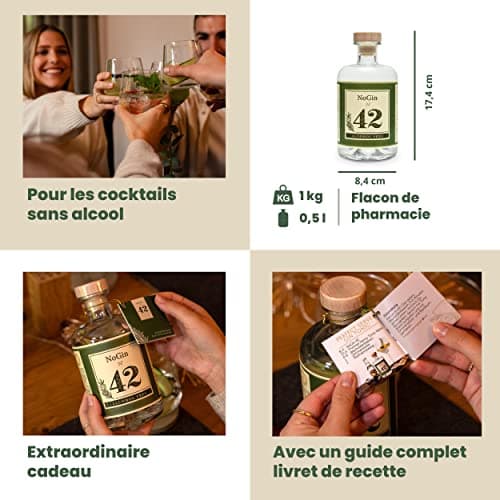 NoGin 42 - L'alternative au gin sans alcool avec les épices originales du Gin 42 | jnpr | Sans sucre | Compagnon idéal pour les cocktails sans alcool | A servir avec l'eau tonique Thomas Henry