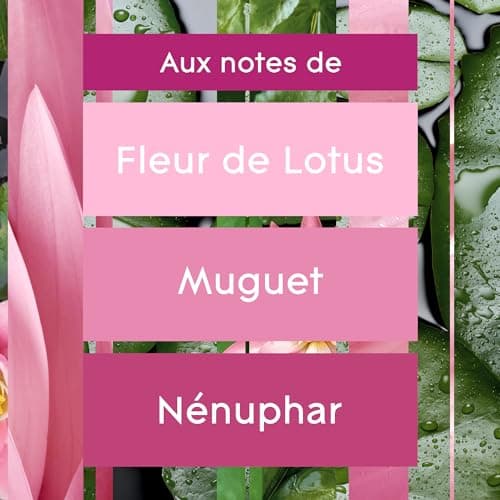 Glade Automatic Spray Diffuseur Relaxing Zen - Infusé Aux Huiles Essentielles