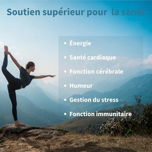 Vitamines du Complexe B Bioactives, 180 Petits Comprimés Végétalien à Haute Absorption avec Folate & Biotine. Énergie et Vitalité, Libération Prolongée