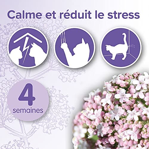 BEAPHAR – NO STRESS – Diffuseur électrique calmant à la Valériane pour chat – Réduit le stress et les problèmes comportementaux sans dépendance ni somnolence – 1 prise + 1 recharge 30ml – 4 semaines