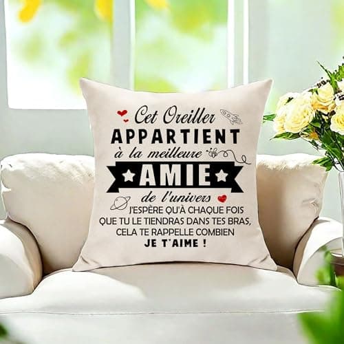 Hasodeo Amie Cadeau Original Housse de Coussin Décoration - Le Meilleure Amie de l'univers Meilleur Amie Cadeau pour Femme Fille Anniversaire Journée de l'Amitié 45 x 45 (Amie)