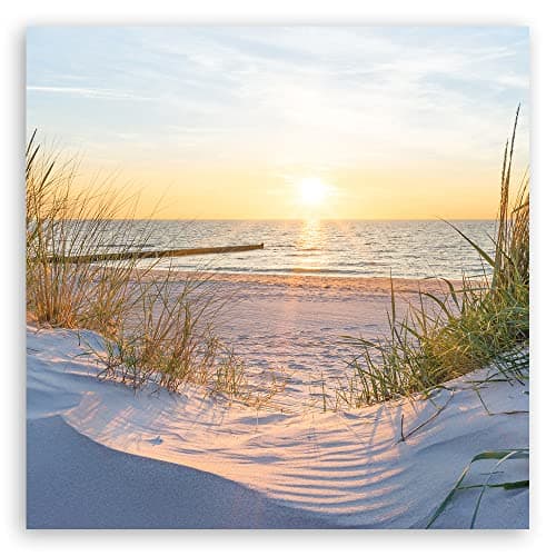 Feeby Tableau toile Passerelle vers la plage Herbe Coucher de soleil 30x30 cm Image Photo Mer du Nord Mer Baltique beige