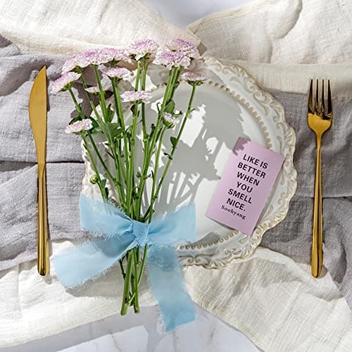 AOKSUNOVA Ruban Cadeau Large pour Mariage en Mousseline de Soie pour bricoler Champagne