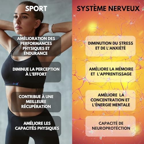 RHODIOLA ROSEA | 2X Plus D'actif | 5% Rosavine + 1,8% Salidroside | Qualité Unique Rhodiolife® | Performance | Adaptogène | Bien être Psychologique | Anti-stress |