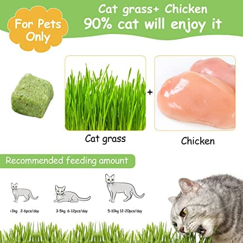 Collations pour Chats Herbe à Chat, 60g Snack pour Chat Lyophilisé pour Le Nettoyage des Dents